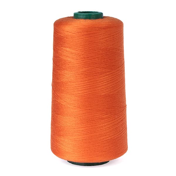 Цвет 116 нитки Dor Tak №40/2 4500м undefined