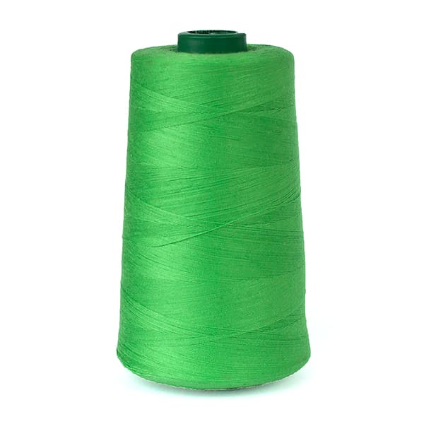 Цвет 351 нитки Dor Tak №40/2 4500м undefined