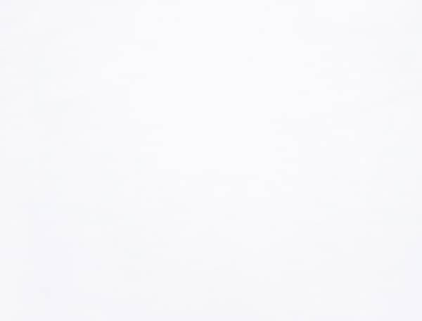 Ткань Gütermann Pure Colours однотонная, белая undefined